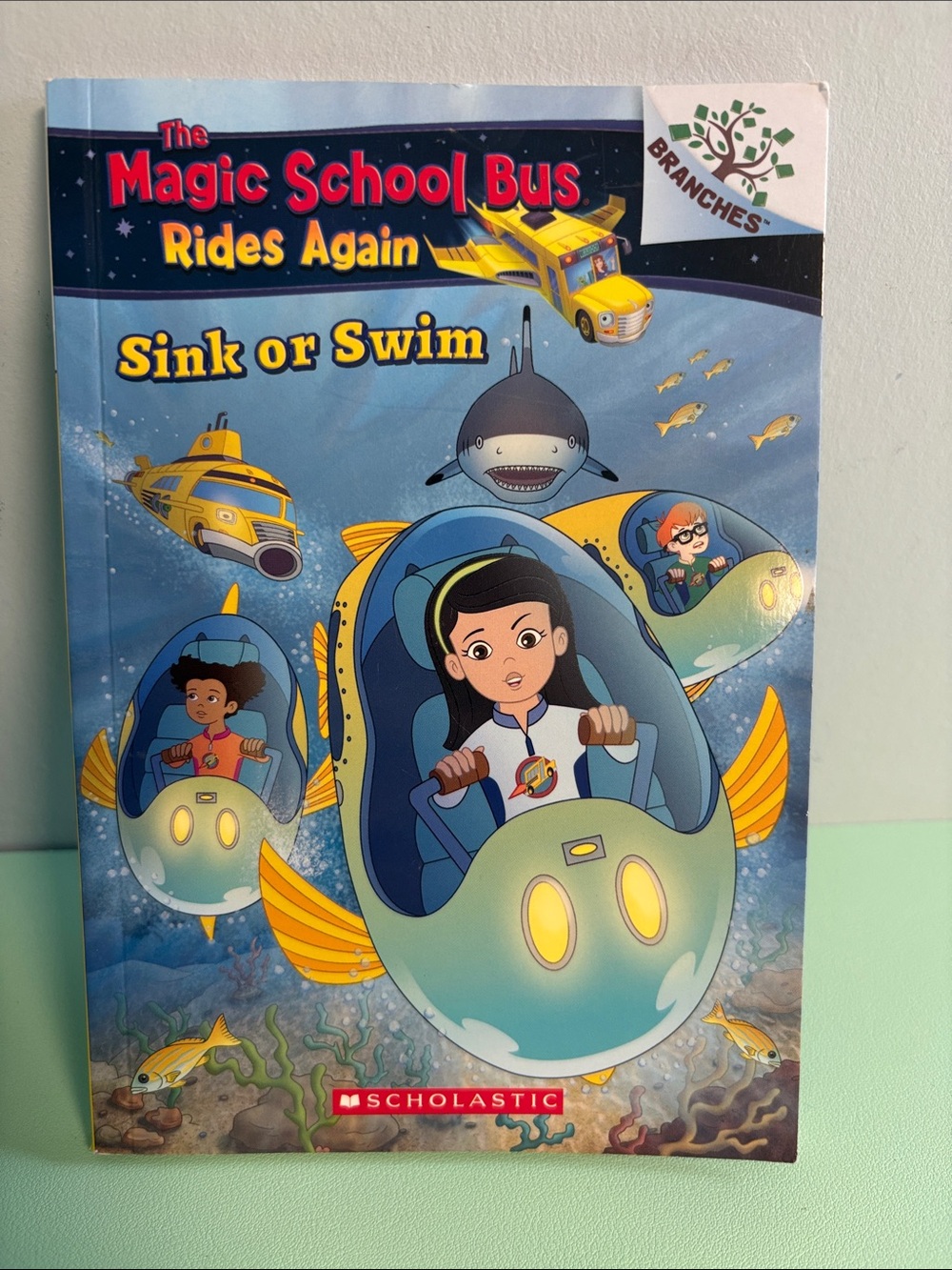 The Magic School Bus Rides Again Sink or Swim Book, Kids Book, Reading Age 6+